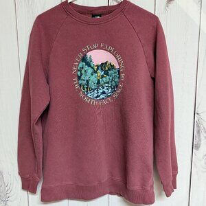 The North Face Evolution Crewneck Large Mauve Graphic Sweatshirt GUC